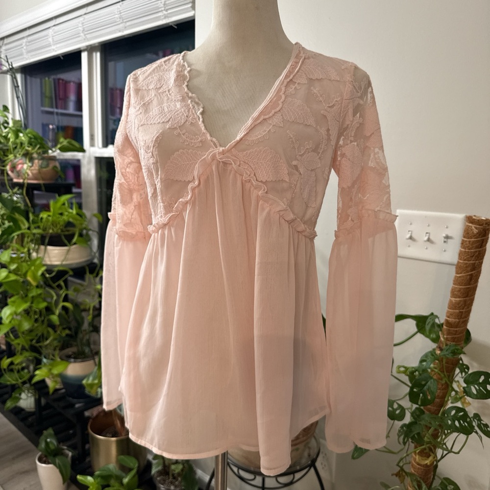 Francesca's Collections Soft Pink Lace Blouse